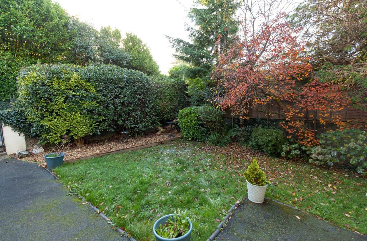 Bodwyn Country Cottage North Wales **By Seren Property** Dolgellau Esterno foto